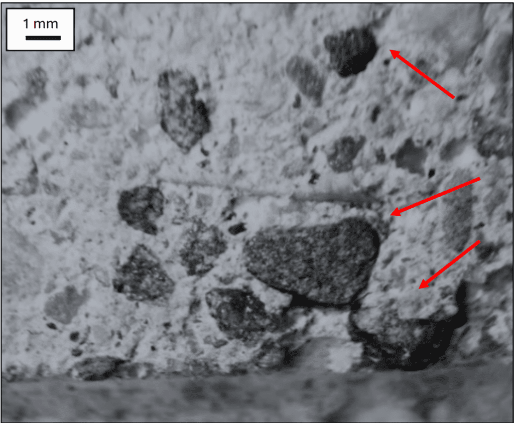 Electron microscope image showing cellular structures with labeled mitochondria and membrane.