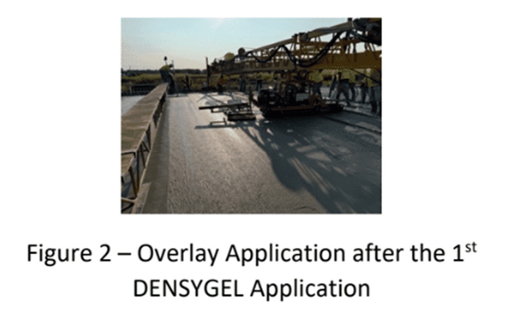 Electron microscope image showing cellular structures with labeled mitochondria and membrane.